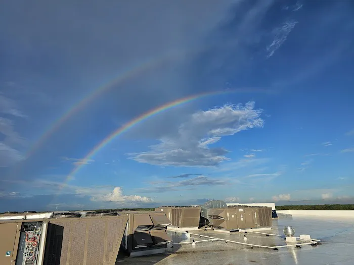 Vibrant Mechanical Picture 10