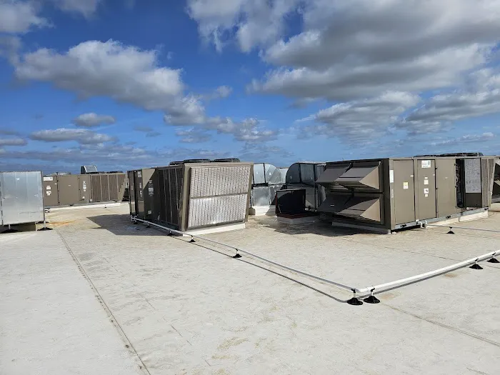 Vibrant Mechanical Picture 5