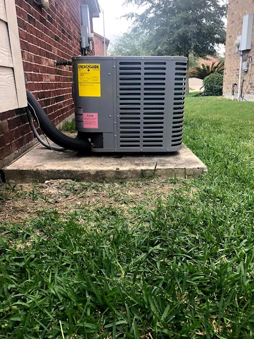 Revolution Air Picture 4