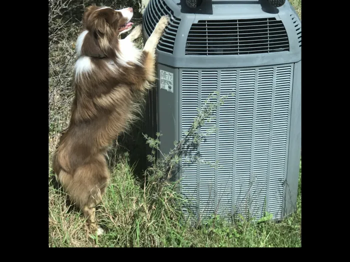 Aussie Air TX LLC Picture 6