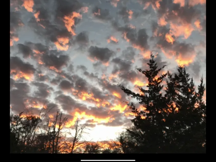 Aussie Air TX LLC Picture 10