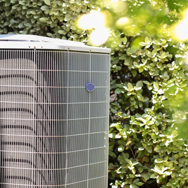 McCann Services Inc. Picture 6