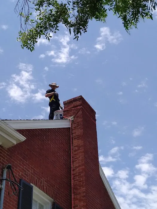 Green City Pros Picture 4