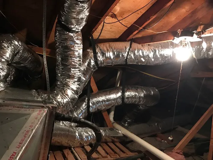 Green City Pros Picture 6