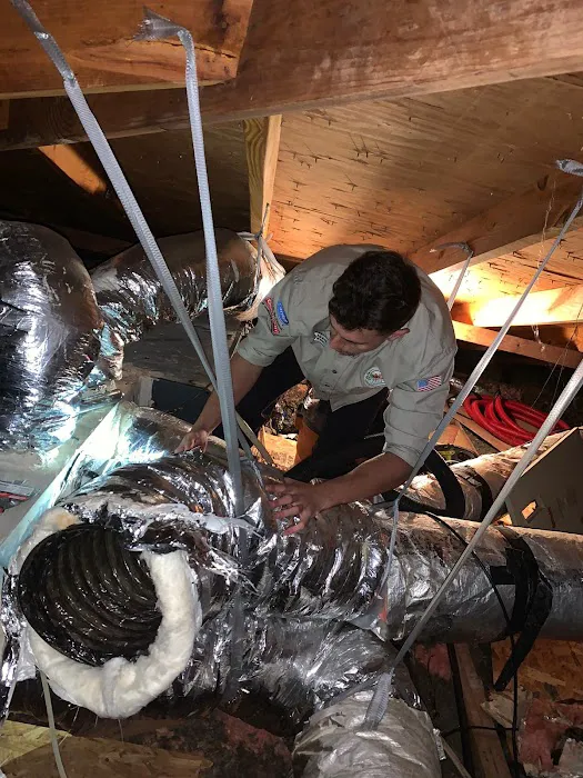 Green City Pros Picture 3