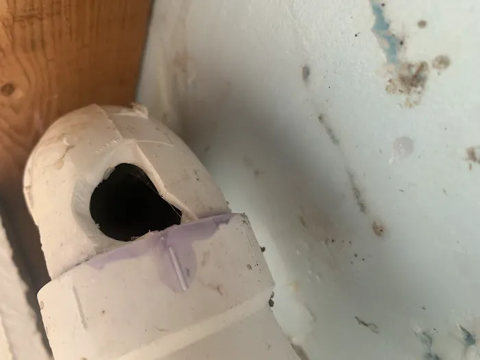 Service Squad Picture 5