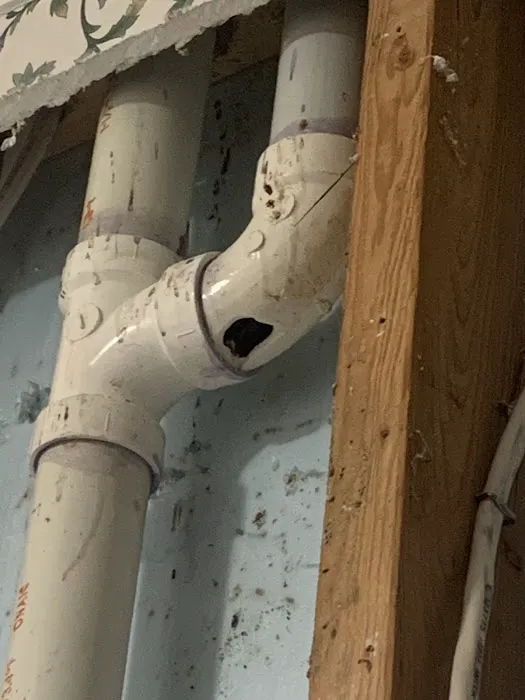 Service Squad Picture 6