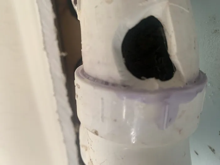 Service Squad Picture 3