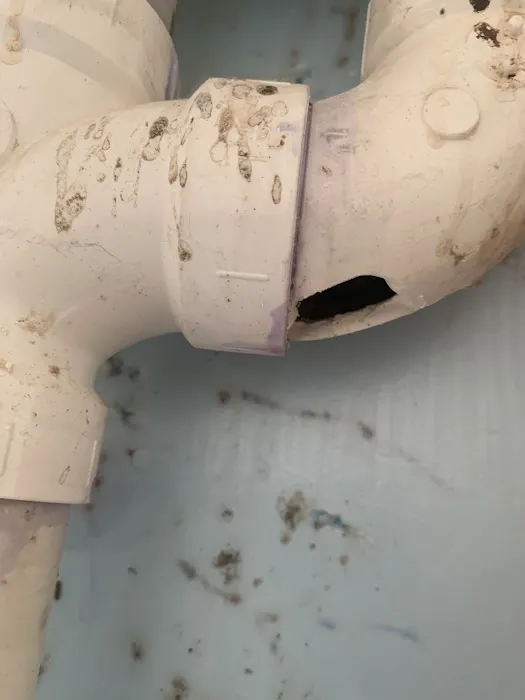 Service Squad Picture 4