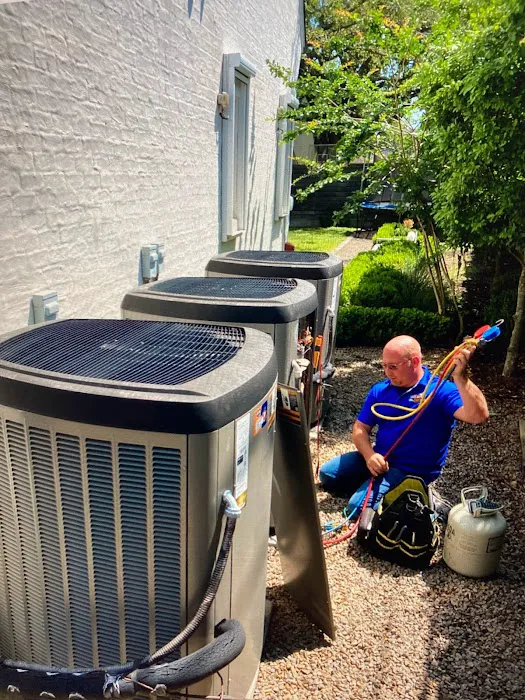 Air Star Now Picture 1