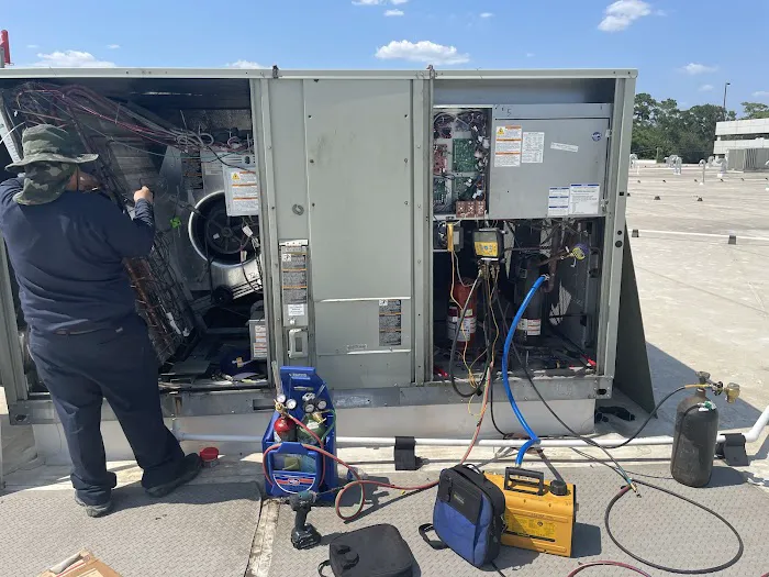 The Lee Thompson Co Picture 5