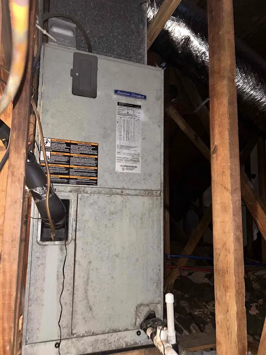 The Lee Thompson Co Picture 10