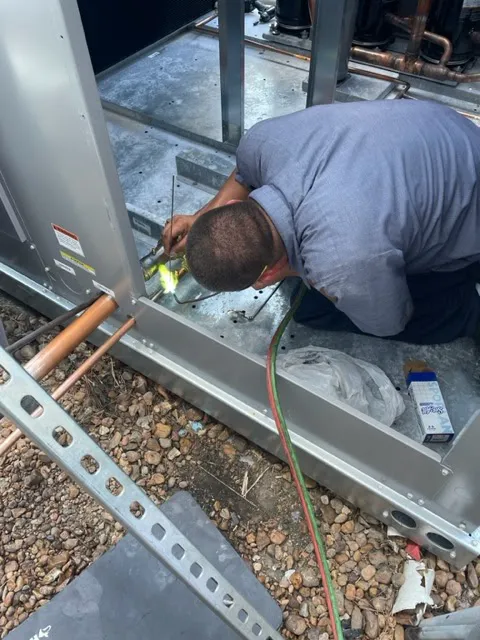 The Lee Thompson Co Picture 2