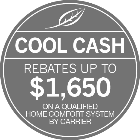 Air Expert Picture 1