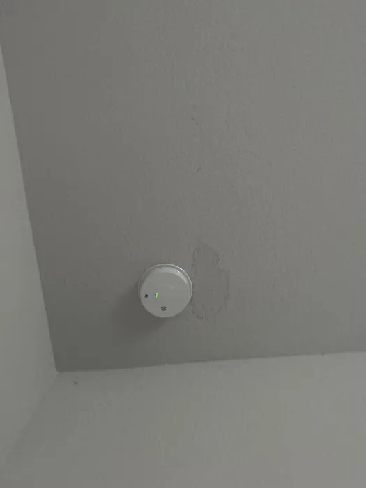 Alpine Air Inc Picture 6