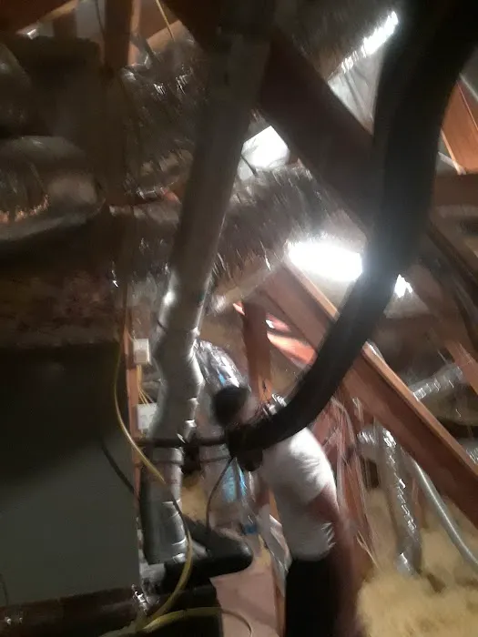 Alpine Air Inc Picture 8