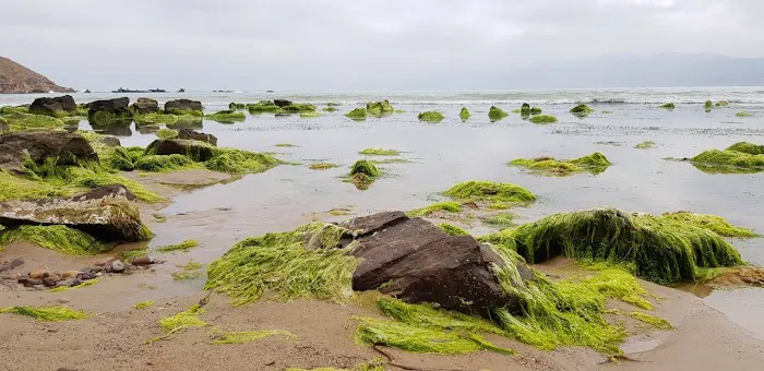 Custom Air Products & Services Inc Picture 5