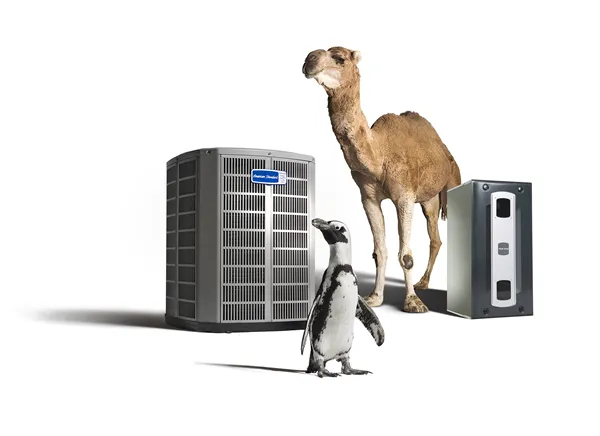 Aquarius Home Service Picture 1