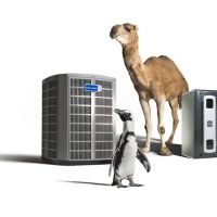 Aquarius Home Service ico