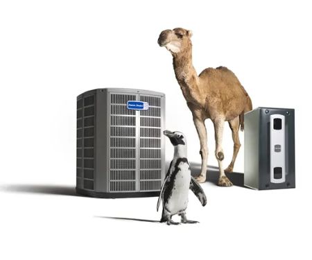 Aquarius Home Service