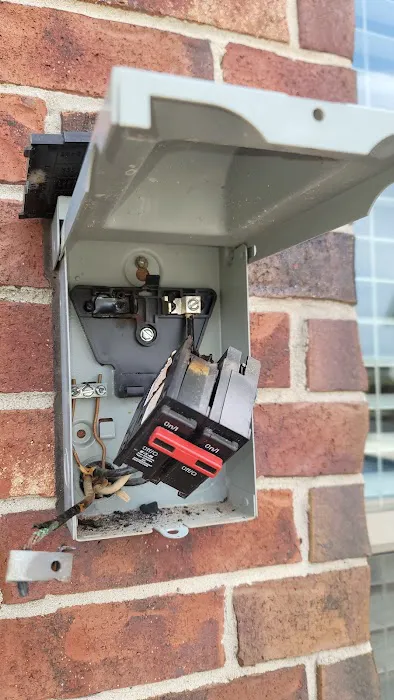 Champion and Nash Picture 9