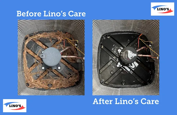 Lino's IAQ Picture 4