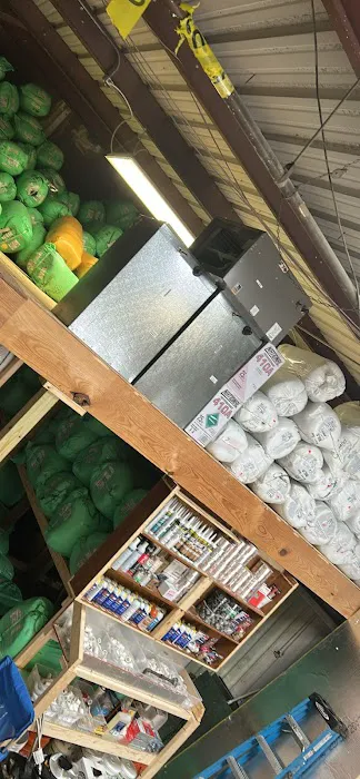 Rothman Air Picture 2