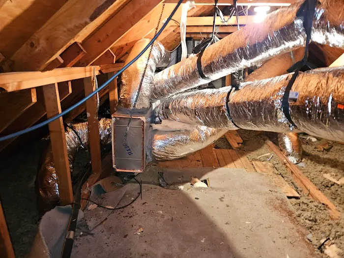 Top Star Air Pros Picture 6