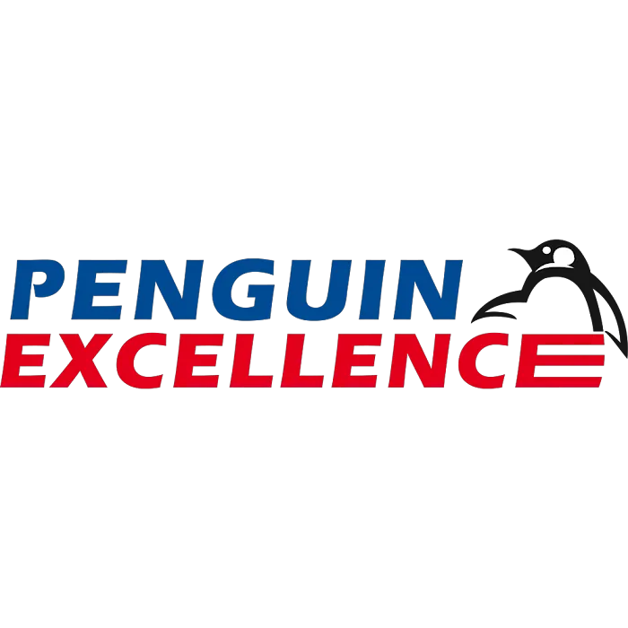 Penguin Excellence Air conditioning and Heating Services Co. Picture 10