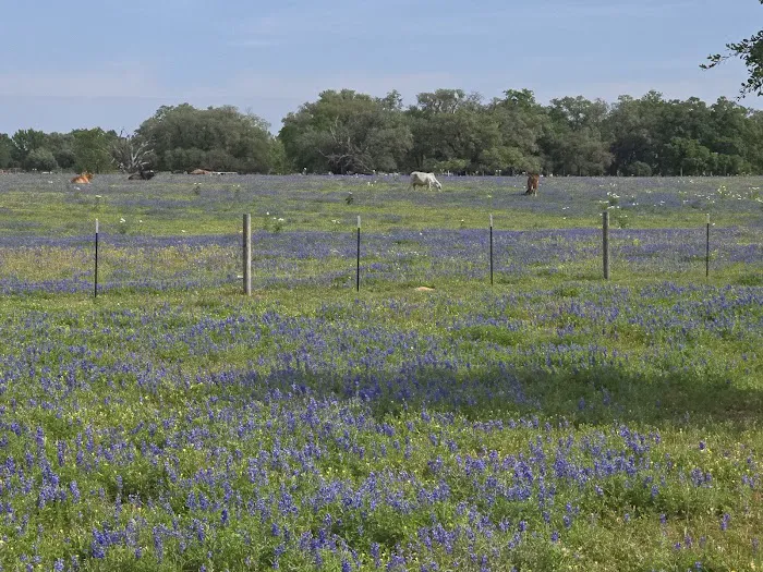 Texcellent Heating & Cooling LLC Picture 6