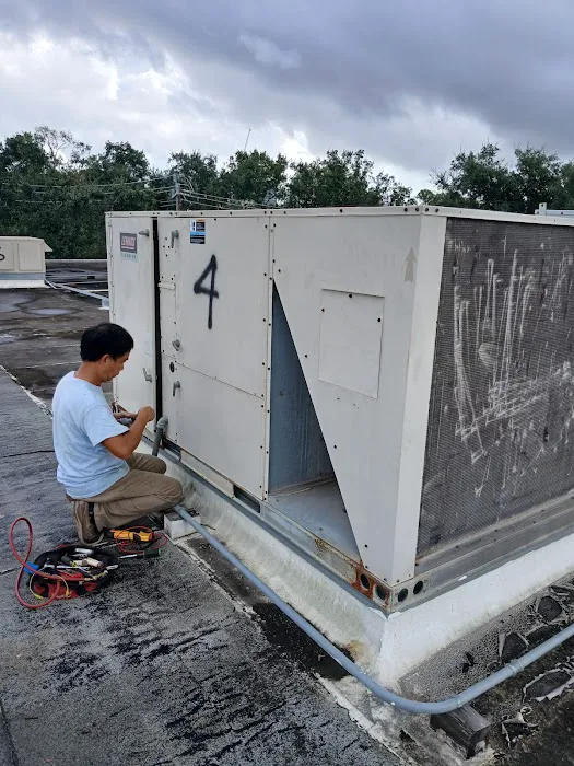 ACS Absolute Comfort - Royal Oaks Picture 6