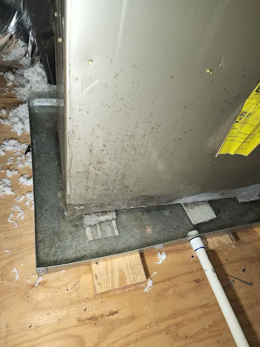 Ainsworth & Co. Picture 5