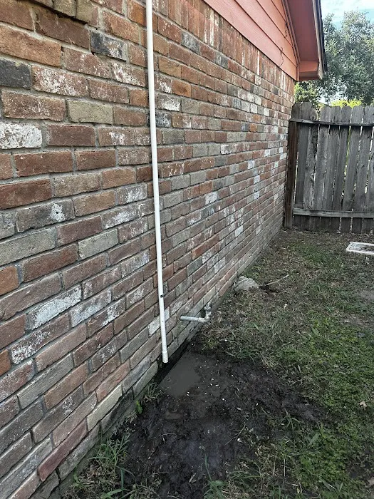 Air Rey - Houston Picture 5