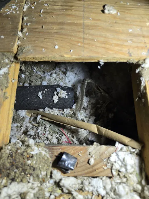 Air Rey - Houston Picture 8