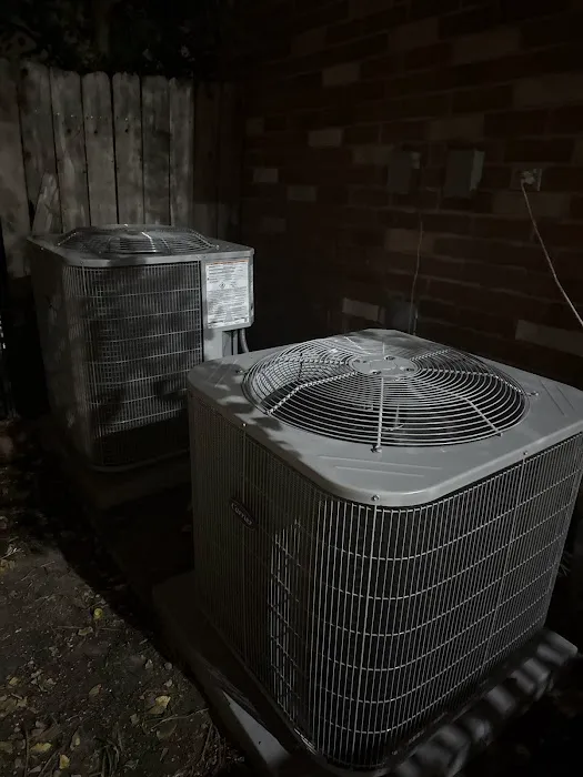 Air Rey - Houston Picture 4