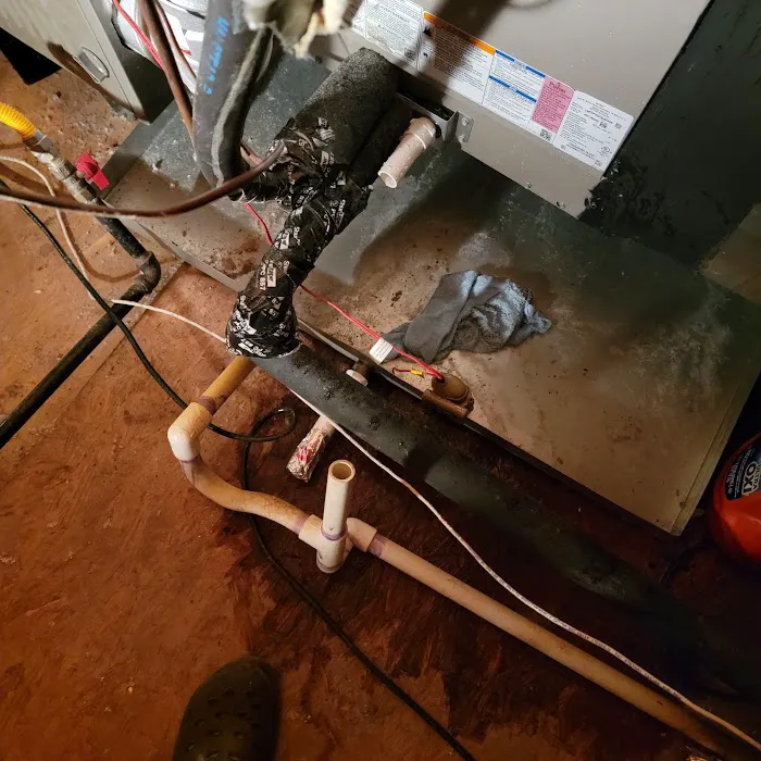 Royal Air Houston Picture 10