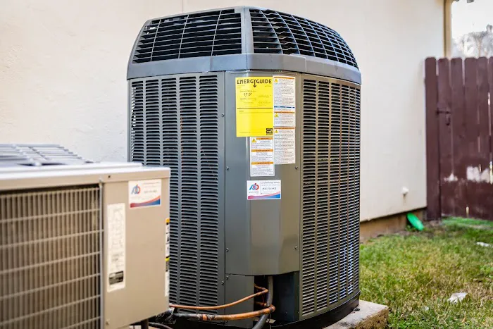 Punbar Air Picture 2