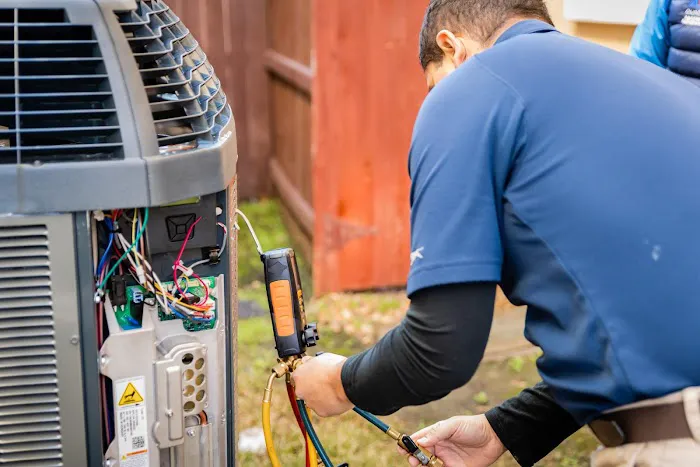 Punbar Air Picture 6