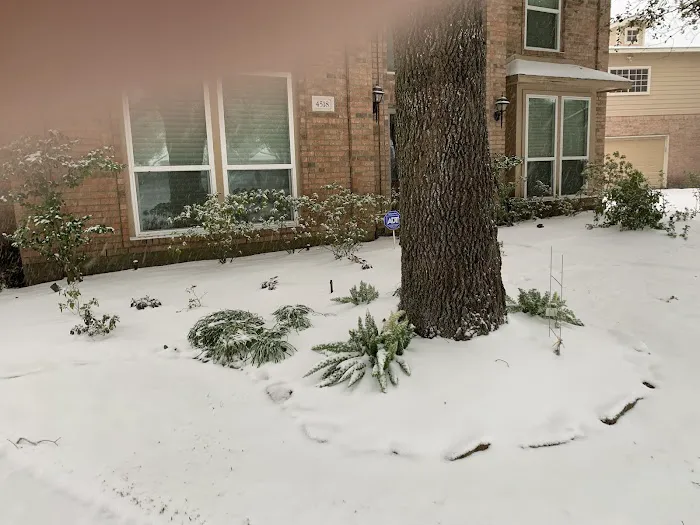 Dragon Air Pro Inc Picture 5