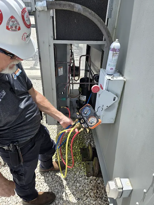 Martin Mechanical Picture 6