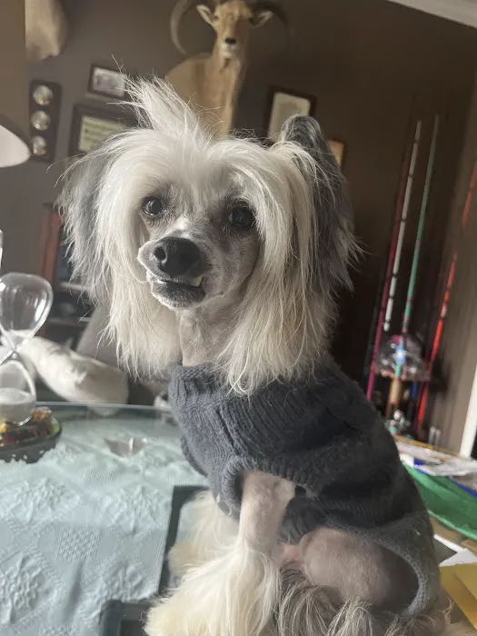 Big Texas Comfort Picture 6