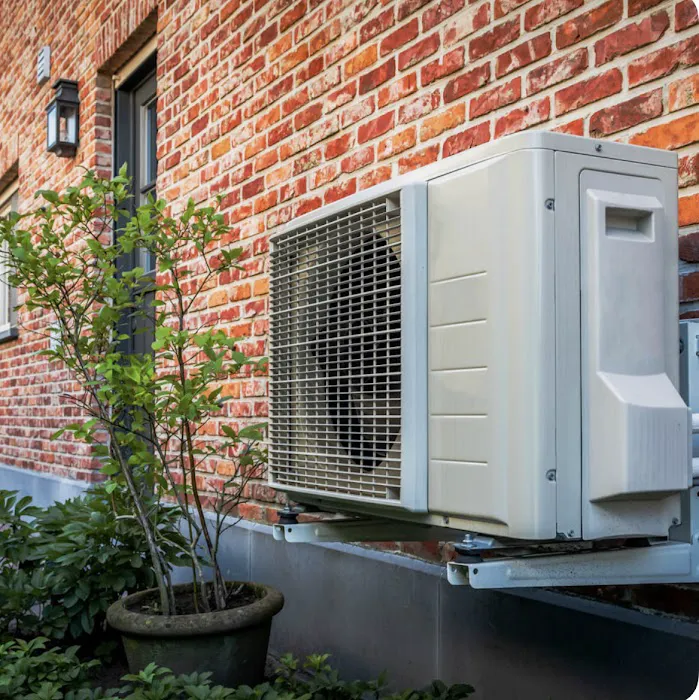 Big Texas Comfort Picture 8