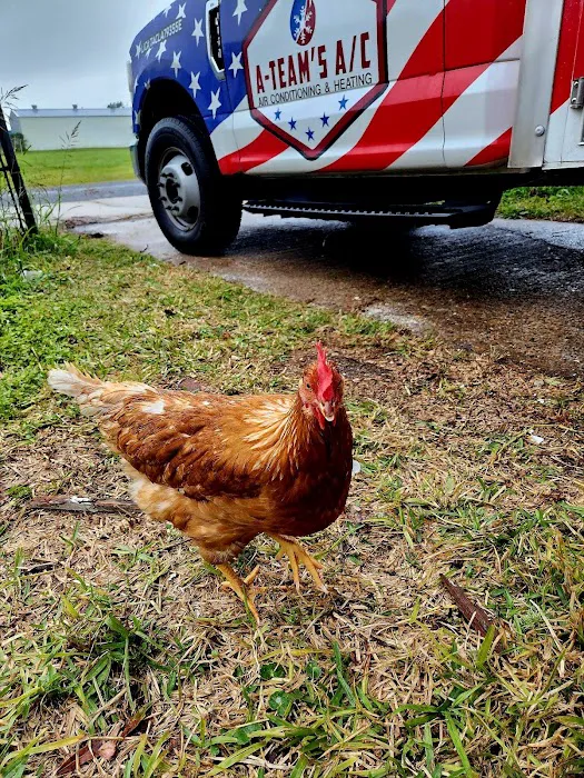 A-Team's A/C & Heating, LLC Picture 5