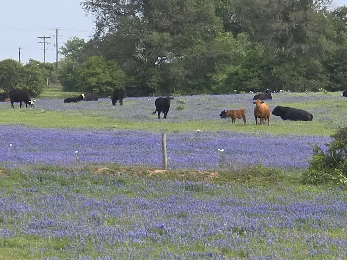 Texcellent A/C Service Picture 1
