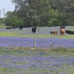 Texcellent A/C Service