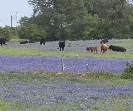 Texcellent A/C Service