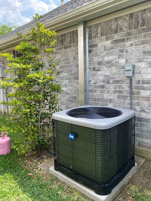 Lo Aira's Services Picture 2