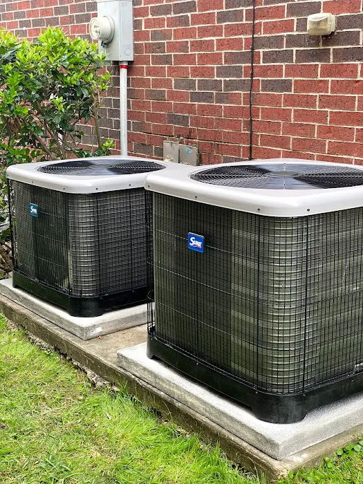 Lo Aira's Services Picture 4