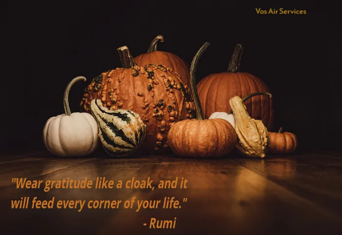 Vo's Air Services Picture 8