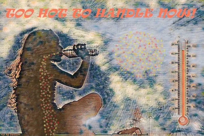 Vo's Air Services Picture 10